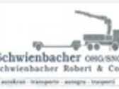 Schwienbacher Robert & Co.