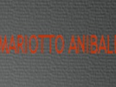 Mariotto Anibale
