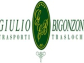 Bigonzoni Giulio Trasporti & Traslochi