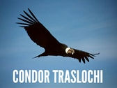Logo Condor traslochi