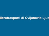 Logo Microtrasporti&traslochi di Cvijanovic Ljubo